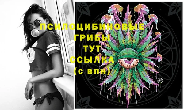прущие крисы Абинск