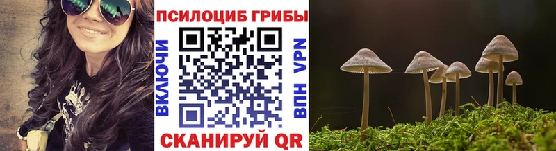 omg онион Стрежевой Галлюциногенные грибы Cubensis